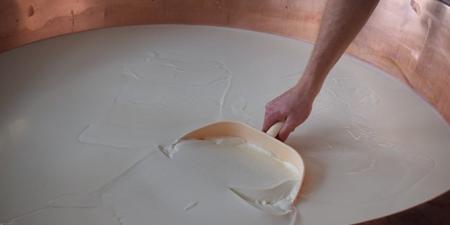 Langsam aber sicher führe die sinkende Anzahl Schweizer Milchproduzenten zu einem Rückgang der Produktion, so Uniterre. (Bild dyhuettner/Pixabay)