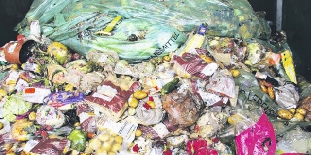 Grosses Kalorienreservoir: Lebensmittel in der grössten Biogasanlage in Stetten AG. (Bild rü)