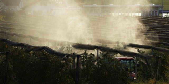 In einer Obstanlage werden Pflanzenschutzmittel ausgebracht. (Bild BauZ)