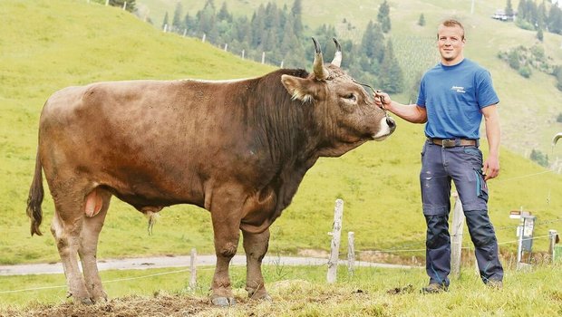 Samuel Suter hat zwar im Schwingen noch keinen Siegermuni gewonnen, dennoch stehen auf seinem Betrieb drei Zuchtstiere.