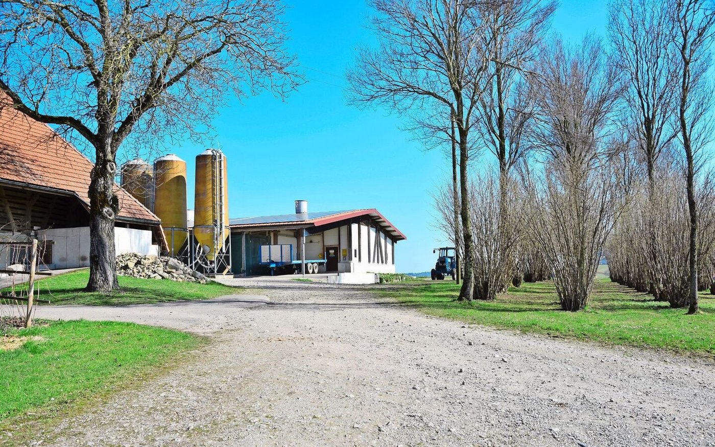 Der Mist aus der Poulethalle wird möglichst direkt ausgebracht und kommt bei Ritz‘ im Acker- und Futterbau zum Einsatz