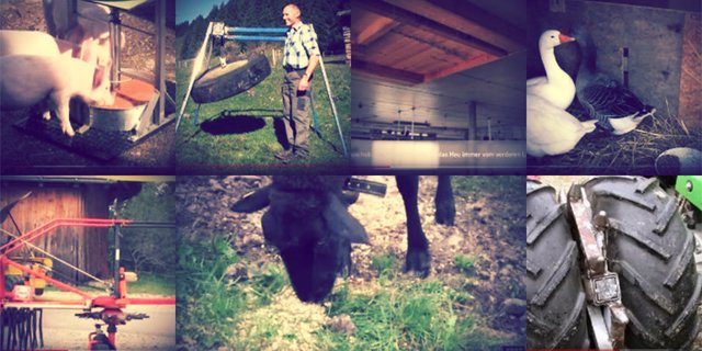 Kuhlift, Heuschublade und Co.: Unsere Youtube-Playlist zeigt die bisherigen Gewinner im bäuerlichen Innovationspreis an der Suisse Tier. (Bild stu)