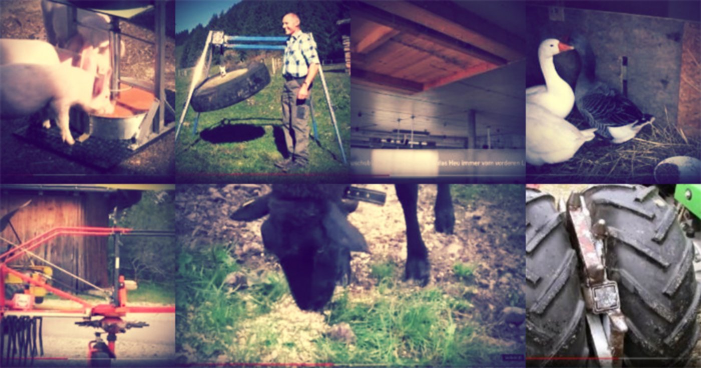 Kuhlift, Heuschublade und Co.: Unsere Youtube-Playlist zeigt die bisherigen Gewinner im bäuerlichen Innovationspreis an der Suisse Tier. (Bild stu)