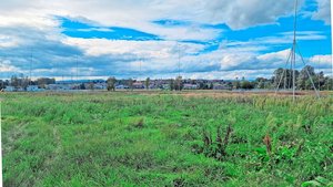 In St-Aubin, auf dem Areal der Agrico, soll der neue Micarna-Schlachthof erstellt werden. Umweltorganisationen versuchen, das Leuchtturmprojekt der Nachhaltigkeit auszubremsen.  