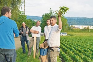 Lucas Vogt machte darauf aufmerksam, dass Schosserrüben in der Folgekultur zwingend zu entfernen sind. (Bild Stefanie Giger)