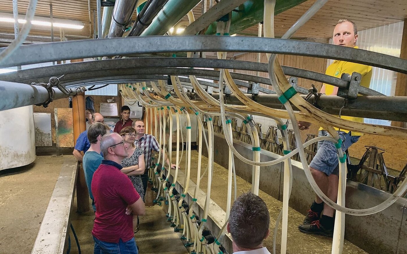 Lukas Hofstetter erklärt den Kollegen vom LBV-Vorstand im Melkstand, wie die Schafe gemolken werden. 
