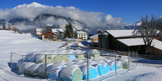 Die Landwirtschaft ist gefordert: Siloballenlager müssen wildtiersicher eingezäunt werden. (Bild Anita Mazzetta)