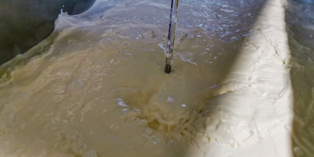 Der Tankmilchtest sorgt immer wieder für grosse Diskussionen unter den Milchlieferanten.(Bild Simone Barth)