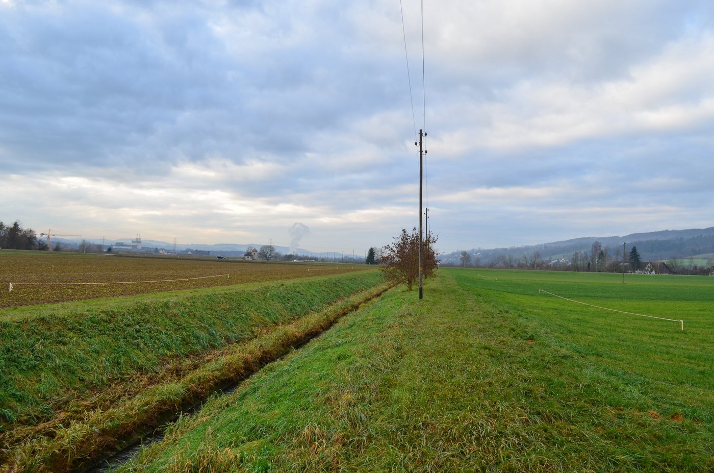 Der Gewässerraum für den Giessen wird an dieser Stelle 38 Meter breit ausgeschieden (siehe Pfosten), weil die ökomorphologische Breite des Bachlaufs mit vier Meter festgesetzt wurde und im Vernetzungskorridor steht.  (Bild Daniel Thür)