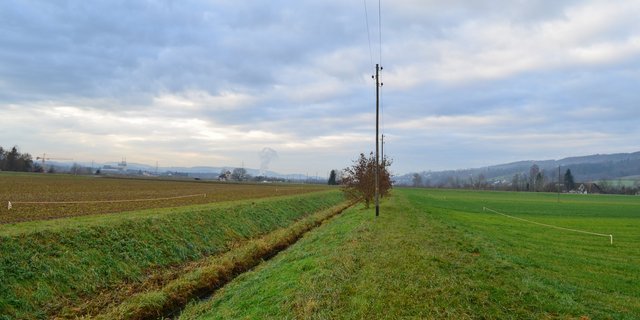Der Gewässerraum für den Giessen wird an dieser Stelle 38 Meter breit ausgeschieden (siehe Pfosten), weil die ökomorphologische Breite des Bachlaufs mit vier Meter festgesetzt wurde und im Vernetzungskorridor steht.  (Bild Daniel Thür)