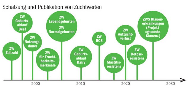 Die Schätzung und Publikation von Zuchtwerten ist für den Einsatz von Zuchttieren entscheidend. In den nächsten Jahren sollen Zuchtwerte für Ketoseresistenz und Klauenerkrankungen hinzukommen. (Quelle Qualitas AG)