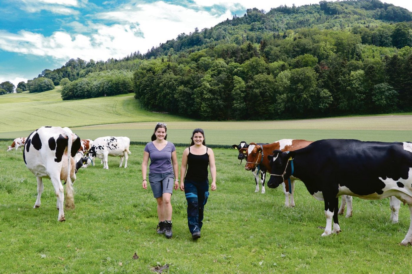 Nicht immer haben die Geschwister einen Gewinnanspruch.(Bild BauZ)