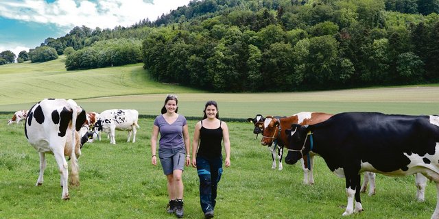 Nicht immer haben die Geschwister einen Gewinnanspruch.(Bild BauZ)