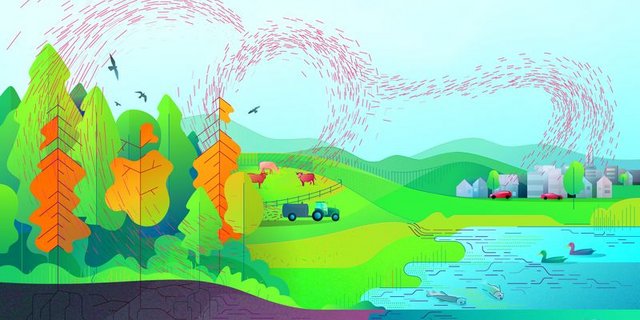 Durch die Luft wird Stickstoff in verschiedenen Formen weit transportiert und gelangt in empfindliche Ökosysteme. (Bild Monika Rohner) 