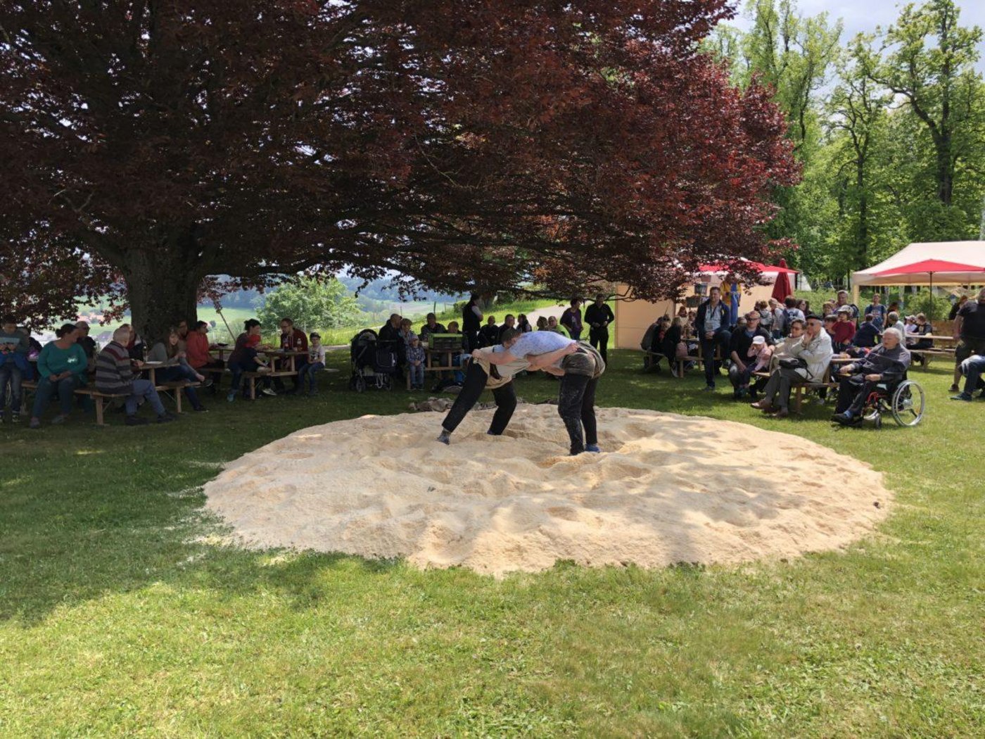 Momentan ist noch unklar, ob Schwingfeste in diesem Jahr stattfinden können. (Bild MSF)