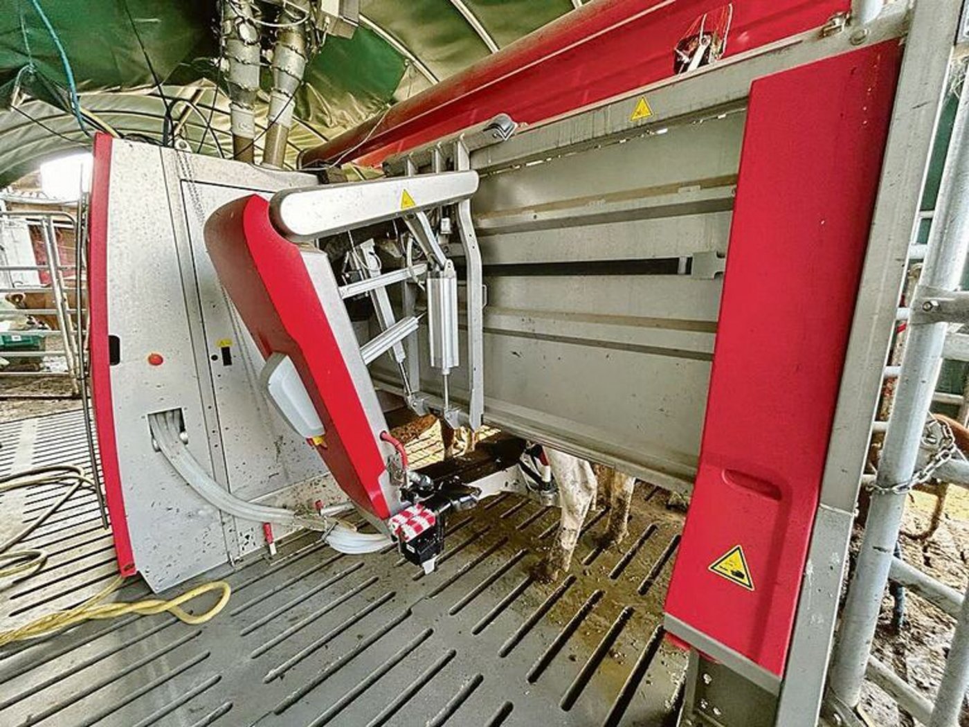 Seit März 2023 steht ein Melkroboter im Stall. Nicht mehr an fixe Melkzeiten gebunden zu sein, brachte Rühlis mehr Effizienz und Lebensqualität.