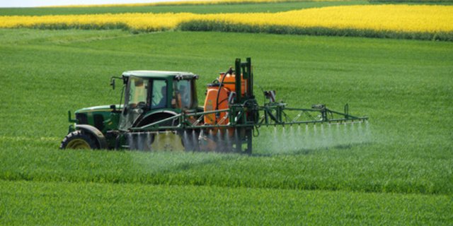 Chlorothalonil wurde im Getreide-, Gemüse-, Wein- und Zierpflanzenbau eingesetzt. (Symbolbild Fotolia)