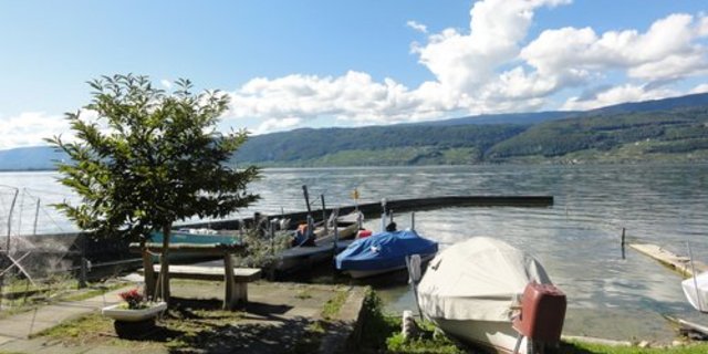 Schäden an Fischbeständen sollen durch die revidierte WZVV-Verordnung vermieden werden. (Bild: mr/LID)