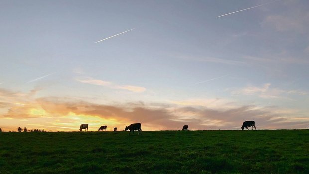 Wenn der Lebensabend hereinbricht, stellt sich die Frage, wer in Zukunft die Rinder von der Weide holen wird. Damit sind viele Ängste verbunden, die es ernst zu nehmen gilt.