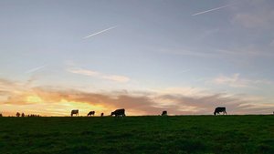 Wenn der Lebensabend Wenn der Lebensabend hereinbricht, stellt sich die Frage, wer in Zukunft die Rinder von der Weide holen wird. Damit sind viele Ängste verbunden, die es ernst zu nehmen gilt.