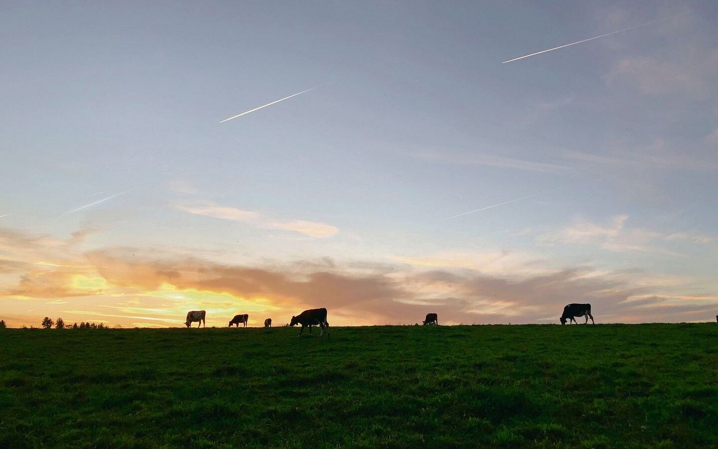 Wenn der Lebensabend hereinbricht, stellt sich die Frage, wer in Zukunft die Rinder von der Weide holen wird. Damit sind viele Ängste verbunden, die es ernst zu nehmen gilt.