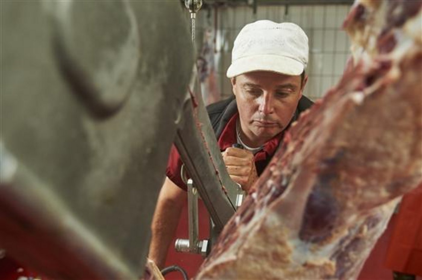 Forderung: Alle Schlachthäuser sollen geschlossen werden. (Bild BauZ)