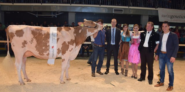 Champion wurde Createur Carmen von der GG Paul und Simon Hirsbrunner aus Zollbrück BE. (Bilder Peter Fankhauser)