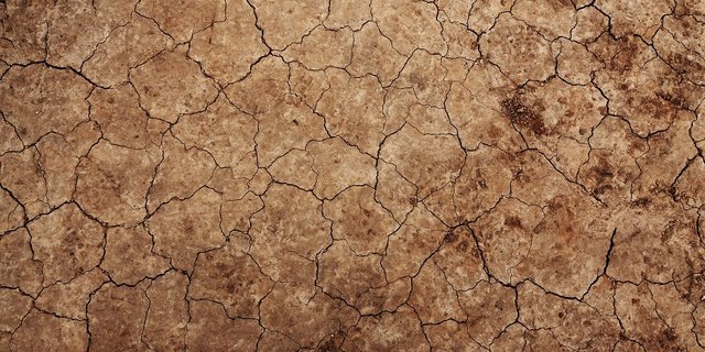 Da CO2 lange in der Atmosphäre bleibt, rechnet man nicht mit einem Rückgang der Treibhausgase in Folge der Corona-Pandemie in diesem Jahr. (Bild Public Domain Picutues/ Pixabay)