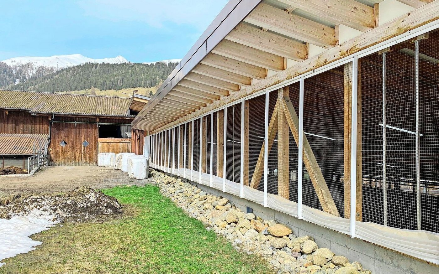 Dank eines kanadischen Lüftungssystems gelangen Tageslicht und warme Luft in den Stall. 