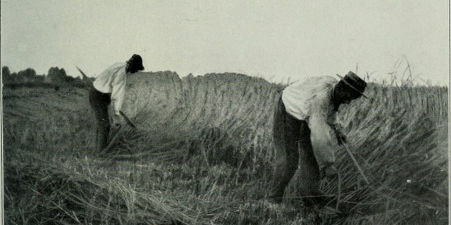 Im 19. und 20. Jahrhundert hat sich die Landwirtschaft stark verändert. (Bild zVg)