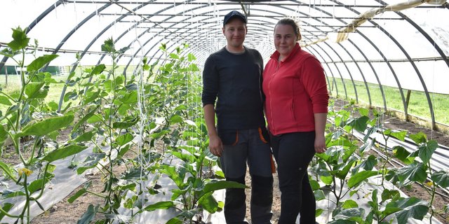 Anita Szekeres (23) und Tibor Ferencz (26) im Gemüsetunnel von Isabel und Samuel Otti in Oberwil bei Büren. 