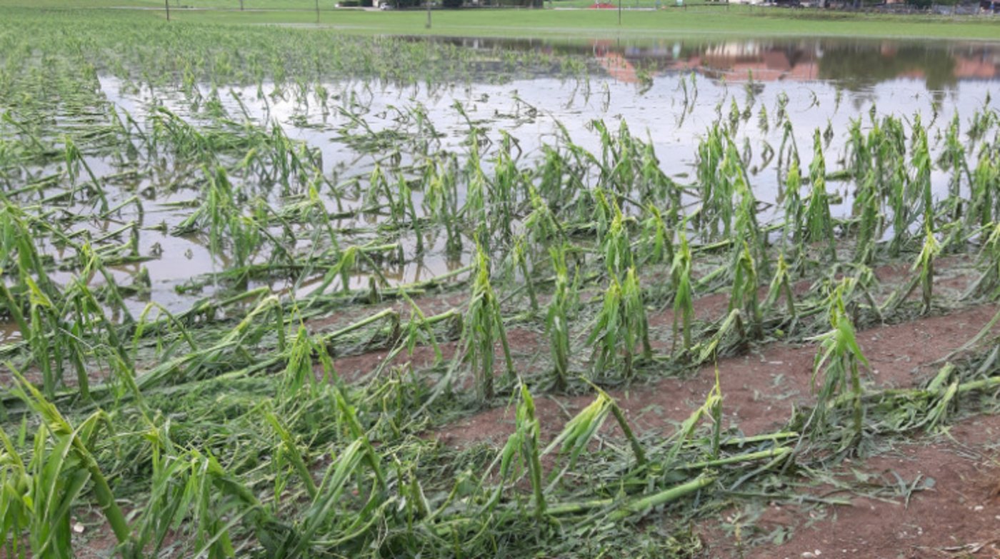 Die Unwetter der letzten Tage haben vielerorts grosse Zerstörung angerichtet. Laut Schweizer Hagel sind 90 Prozent aller Ackerbaubetriebe hierzulande versichert und können so mit Unterstützung rechnen. (Bild Andrea Wyss)