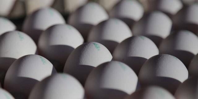 Bald mehr Vitamin D in Eiern? (Bild Symbolbild/ji)