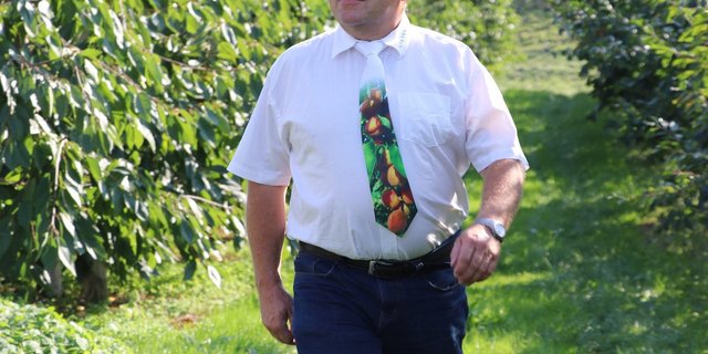 Daniel Schnegg, hier in der Liebegger Obstanlage, freut sich auf die Aargauer Aprikosen die es künftig zu ernten gibt. (Bild rae)