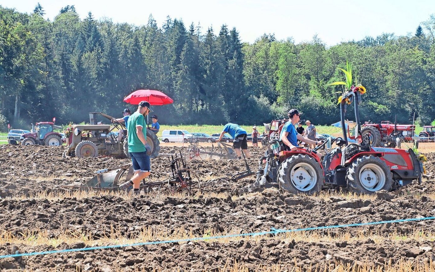 Bei hochsommerlichen Temperaturen und unter idealen Bodenbedingungen wendeten die Teilnehmer mit ihren mitgebrachten Maschinen den Boden.
