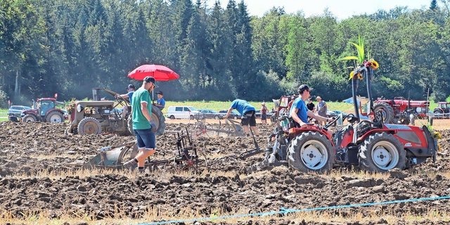 Bei hochsommerlichen Temperaturen und unter idealen Bodenbedingungen wendeten die Teilnehmer mit ihren mitgebrachten Maschinen den Boden.