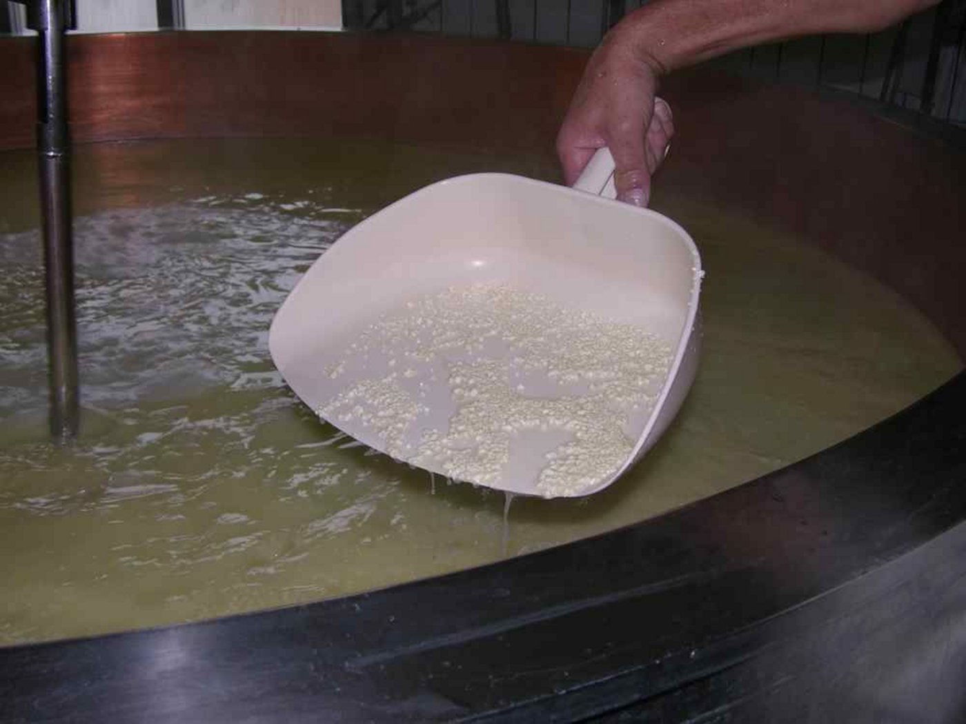 Schweizer Käse ist in Russland nach dem Embargo gefragt. (Bild: BauZ)