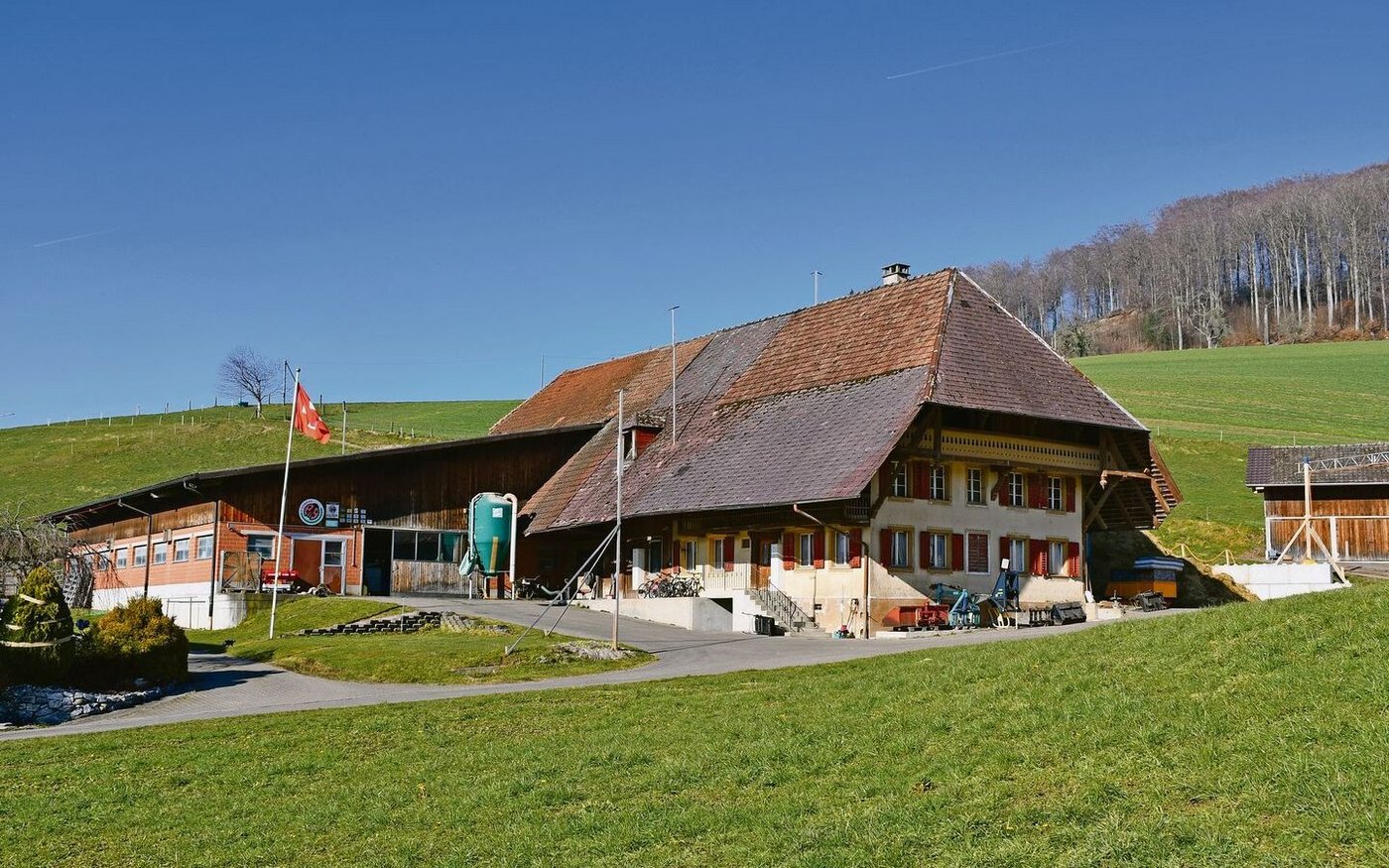 Das alte Wohnhaus mit angebauter Scheune von 1831 vor dem Abriss. Hinten links der neuere Scheunenteil, der stehenbleibt. 