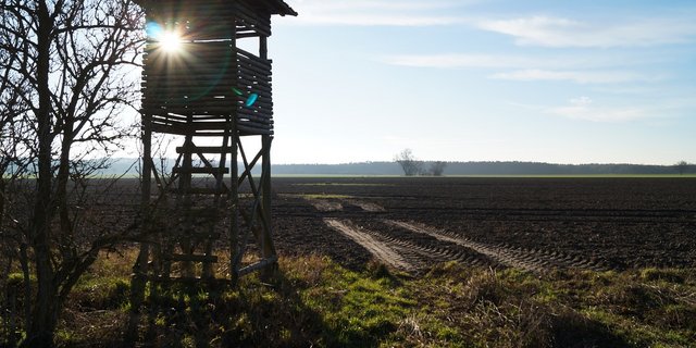 Um die noch unentschlossenen 6 Prozent für oder gegen das revidierte Jagdgesetz zu gewinnen, geben beide Seiten im Schlussspurt nochmal alles. (Bild Pixabay) 