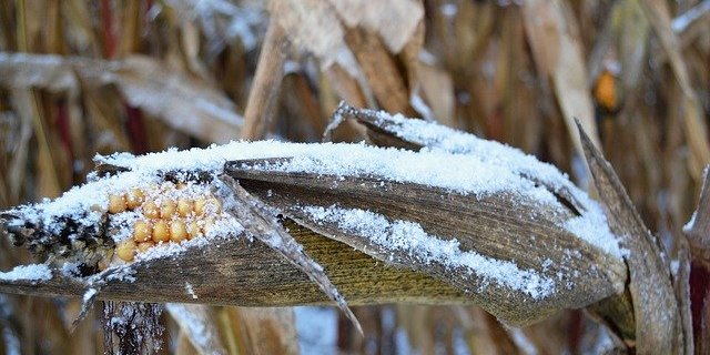 Bereits im Frühling war dieses Jahr wettertechnisch eine Herausforderung in den USA. (Symbolbild Pixabay)