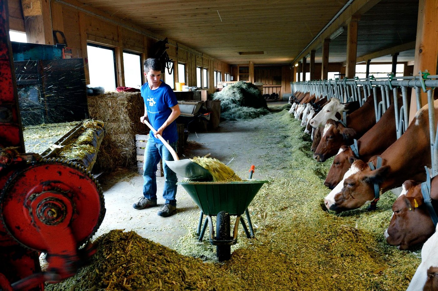 Bei ihrem Einsatz sollen die jungen Leute einen Einblick in den Betrieb bekommen und für sie passende Arbeiten verrichten können. (Bild zVg)