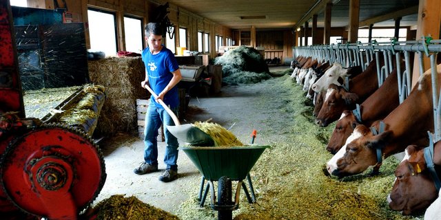 Bei ihrem Einsatz sollen die jungen Leute einen Einblick in den Betrieb bekommen und für sie passende Arbeiten verrichten können. (Bild zVg)