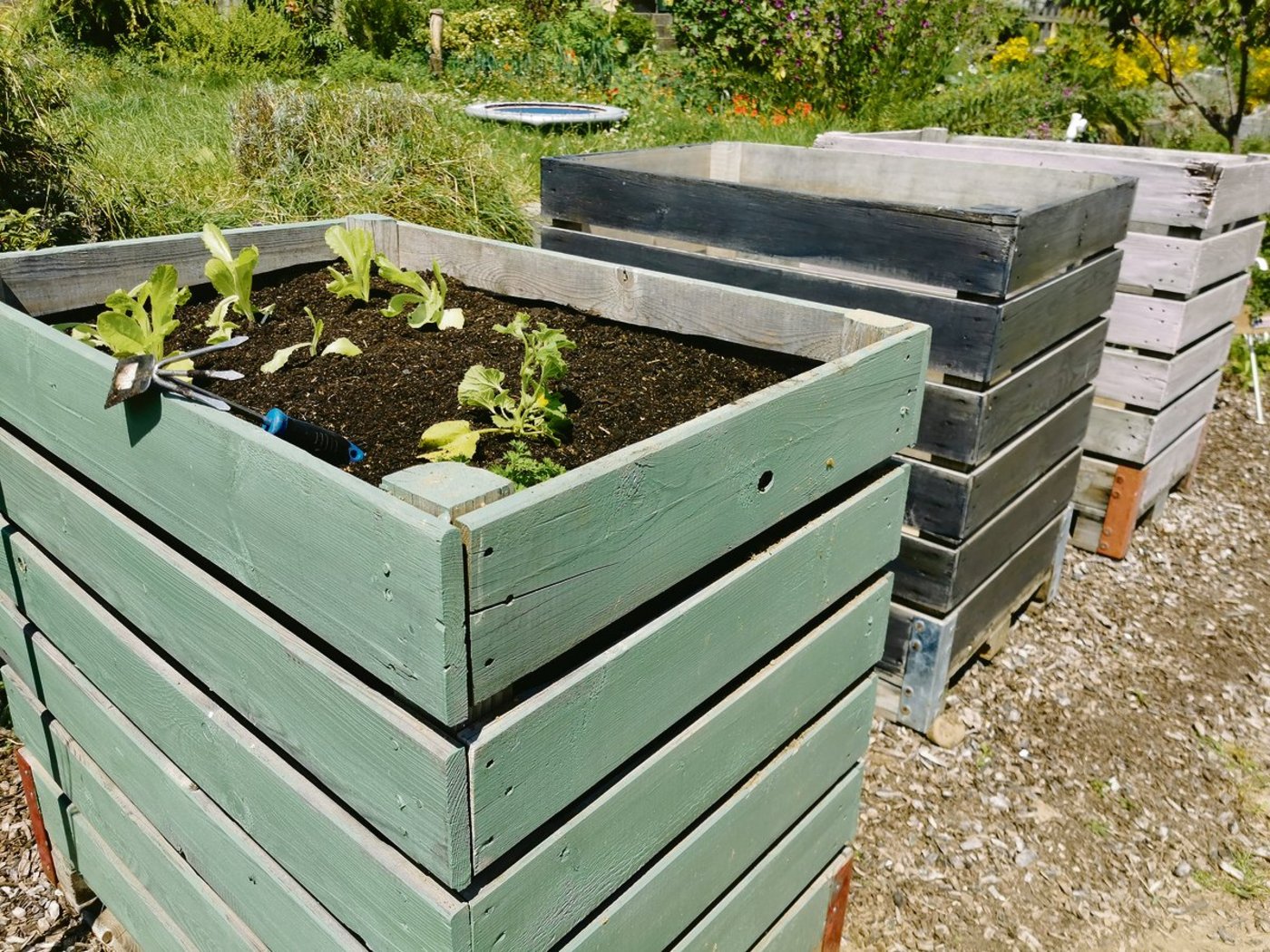 Ausgediente, aber natürlich auch neue Paloxen eignen sich hervorragend als Hochbeet. Ein Anstrich bringt zusätzlich Farbe in den Garten und bietet dem Holz wirksamen Schutz.(Bilder sb)