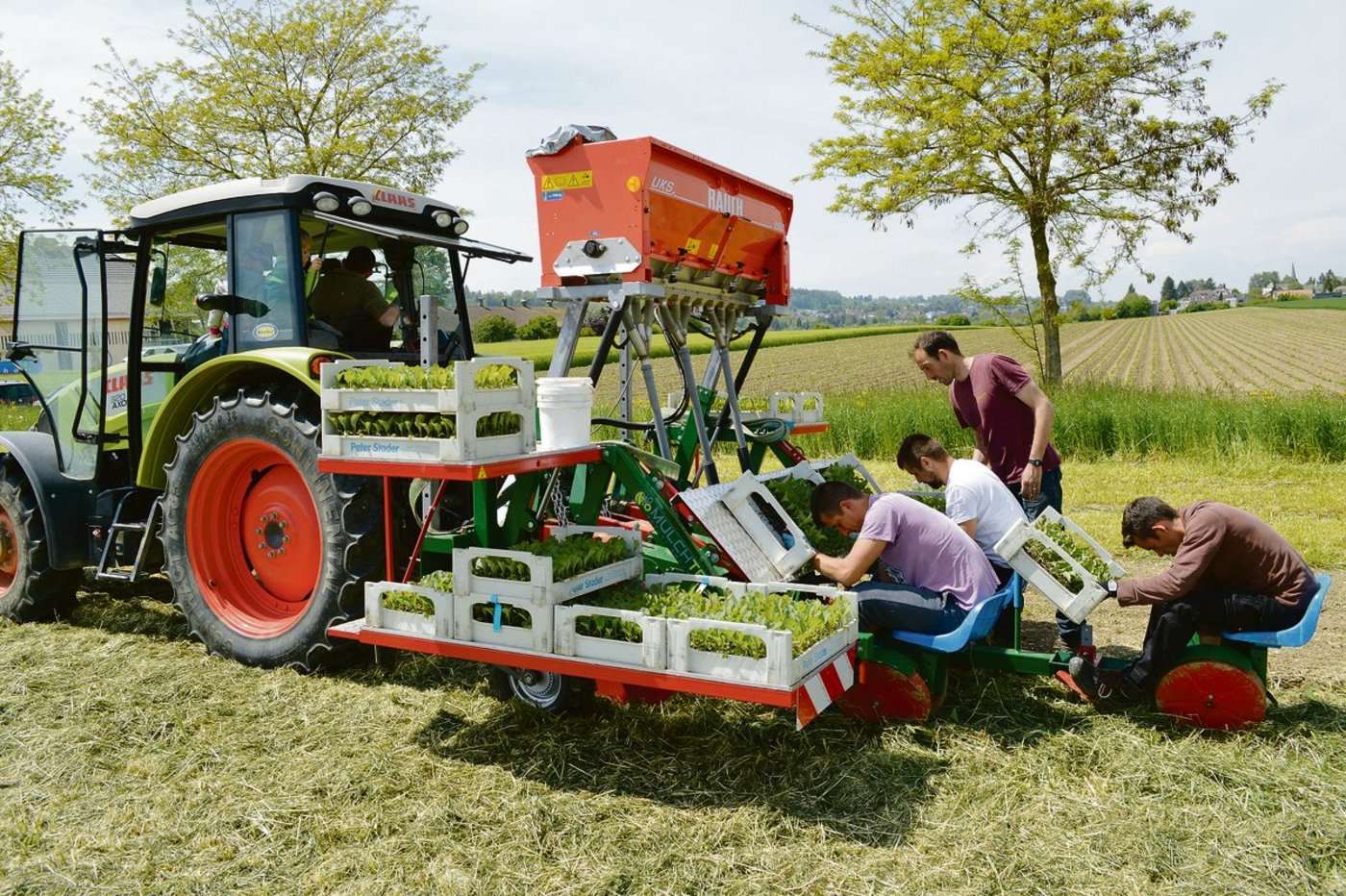 Mit dem Reihenmulchschneidegerät wird der Mulch in mehreren Reihen gleichzeitig durchschnitten, im selben Arbeitsgang werden die Gemüsesetzlinge gepflanzt. (Bild Philipp Trautzl)