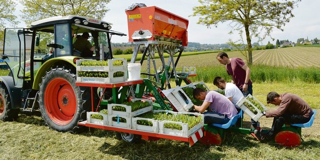 Mit dem Reihenmulchschneidegerät wird der Mulch in mehreren Reihen gleichzeitig durchschnitten, im selben Arbeitsgang werden die Gemüsesetzlinge gepflanzt. (Bild Philipp Trautzl)