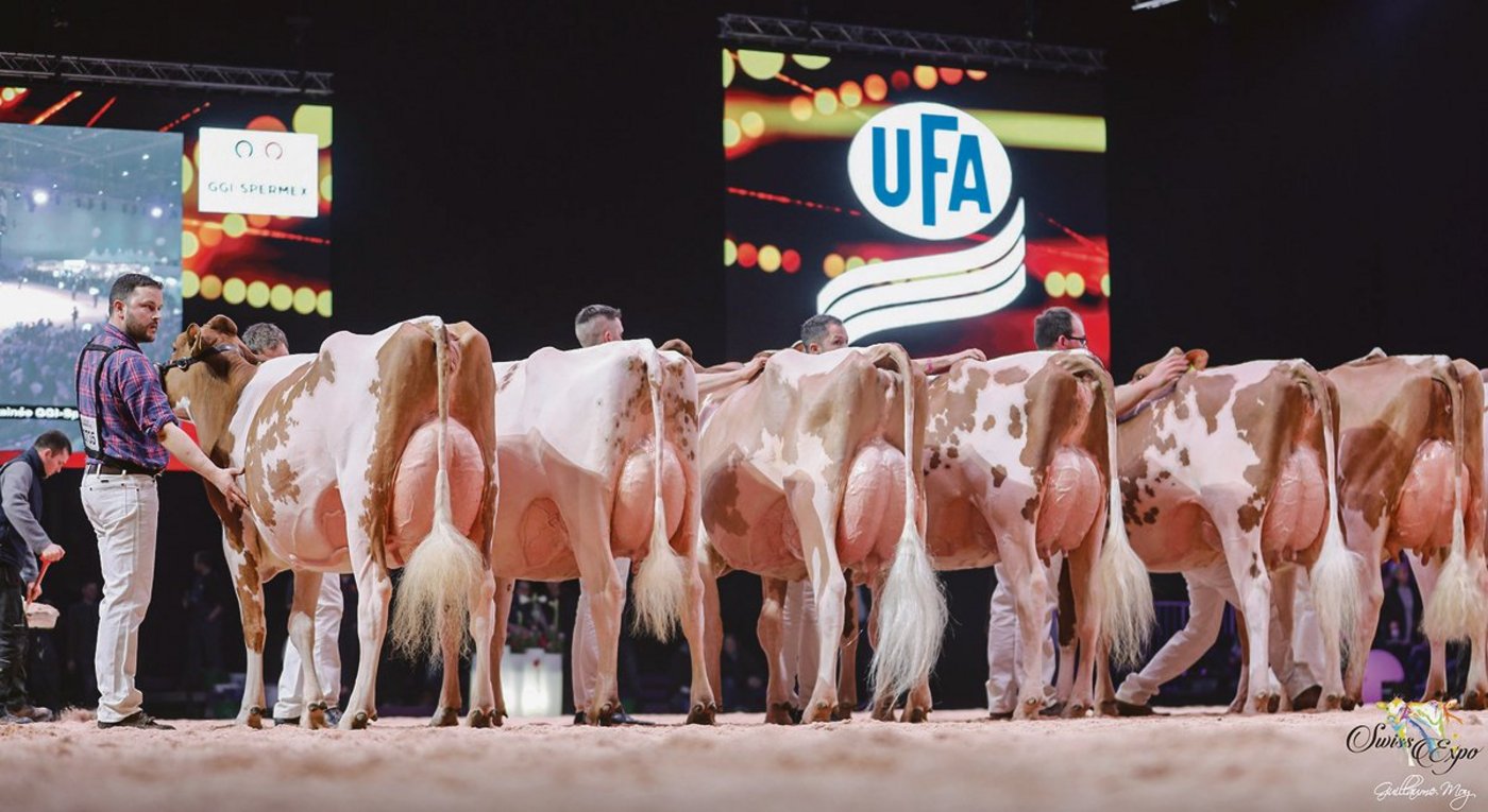 Keine Ausstellungen ohne Sponsoren. Die Swiss Expo kann seit vielen Jahren auf Hauptsponsoren zählen. Sollte es 2021 trotz Corona zu einer Durchführung kommen, dann ohne Zuschauer und Aussteller. Und die dürften ihr Sponsoring runterfahren.(Bild zVg)