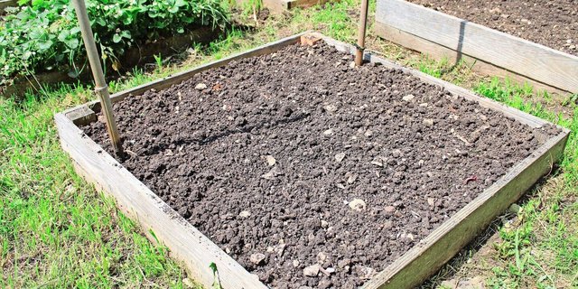 Unkrautfrei: Ein falsches Saatbeet bietet Salaten, Kräutern und Gemüse ideale Wachstumsbedingungen, ohne Konkurrenz durch Beikräuter. 