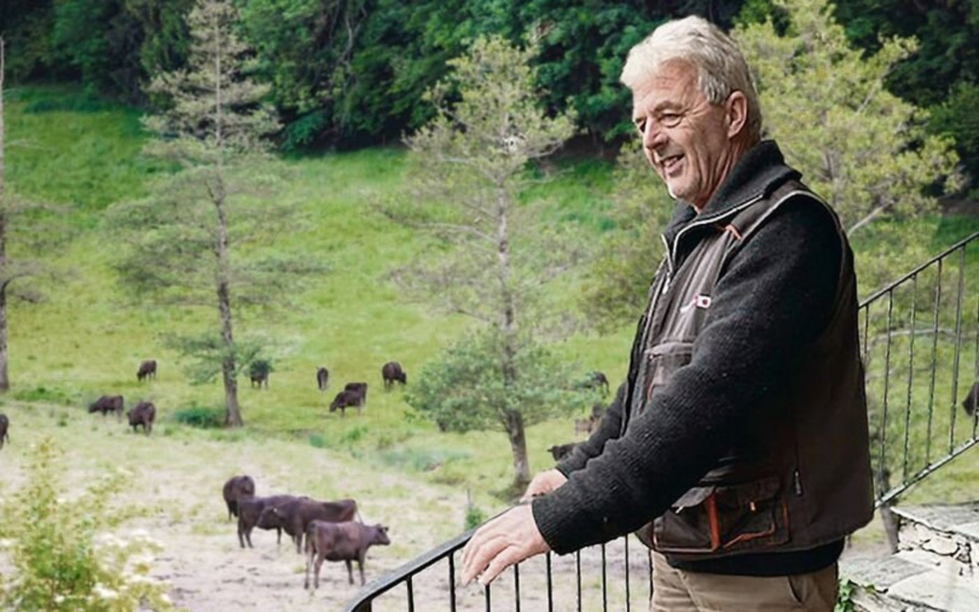 Peter Hunkeler züchtet seit 2012 reinrassige Wagyu-Rinder und hat sich inzwischen eine stattliche Herde aufgebaut
