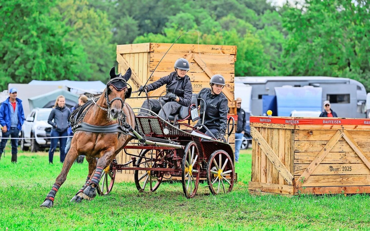 Eine Freibergerstute und zwei Frauen auf dem Weg zu einem Podestplatz an der Schweizermeisterschaft im Gespannfahren.