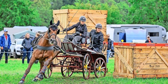 Eine Freibergerstute und zwei Frauen auf dem Weg zu einem Podestplatz an der Schweizermeisterschaft im Gespannfahren.